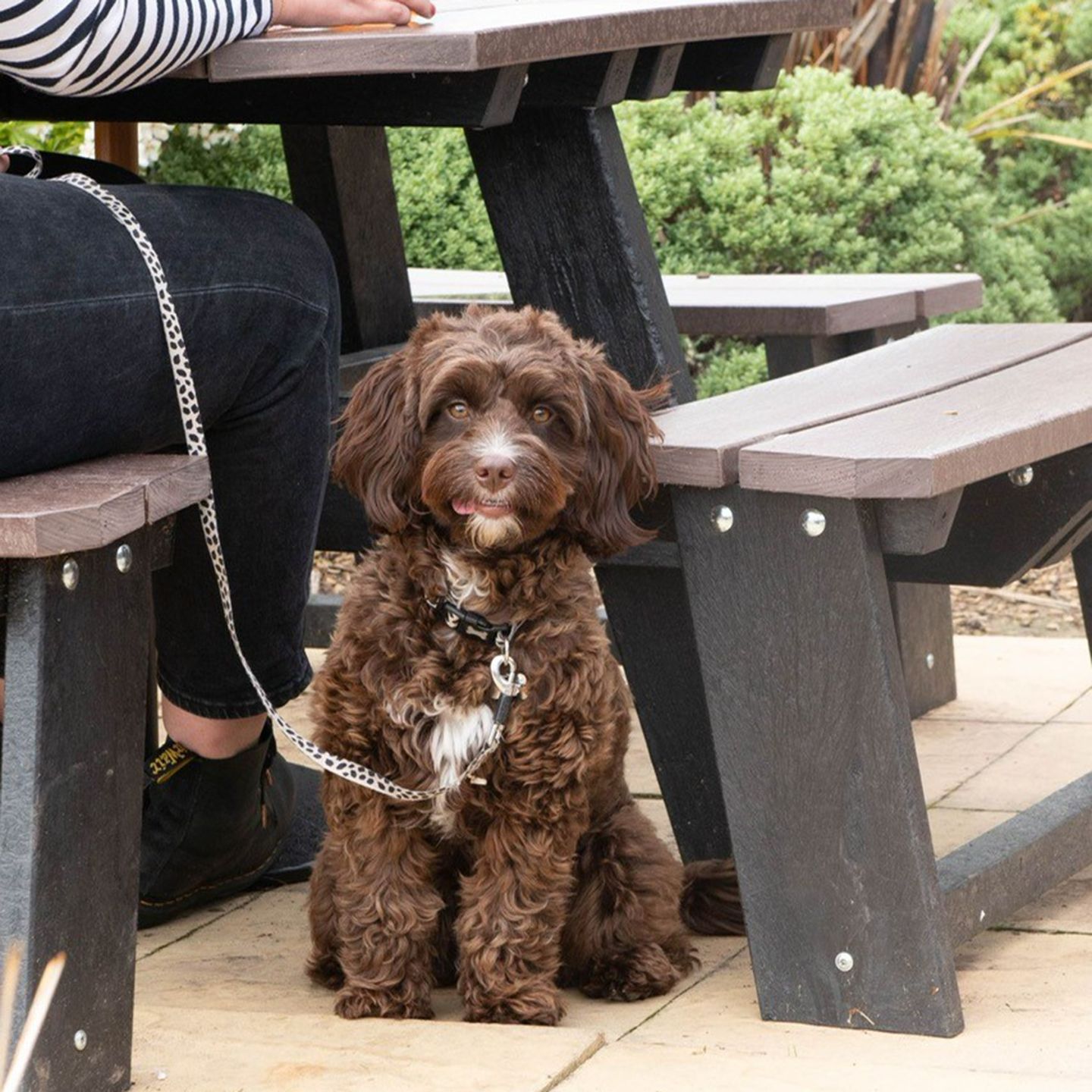 Your local dog friendly pub in Banbury